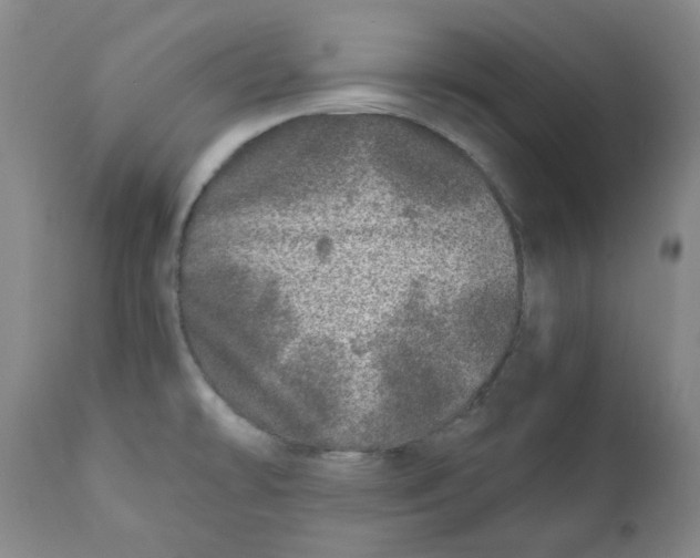 X0000110871478200907161427