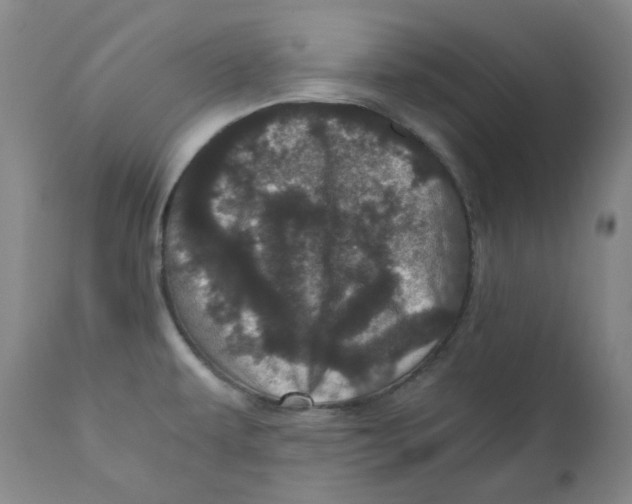 X0000110871479200907161427