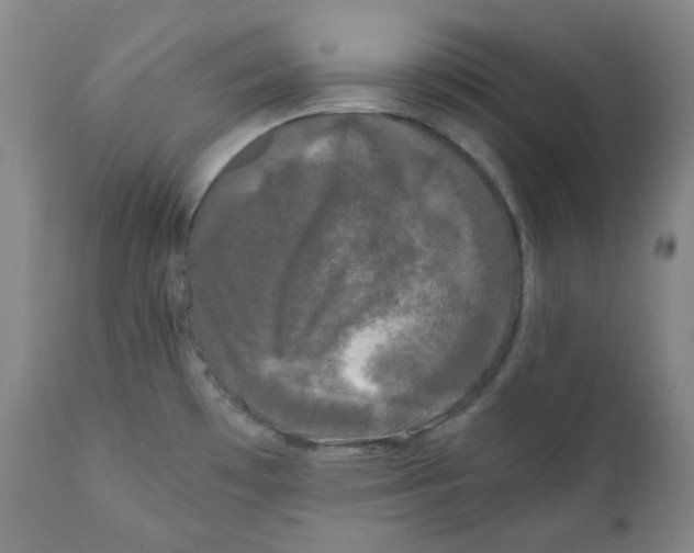 X0000110871481200907161427