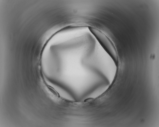 X0000110871485200907161427