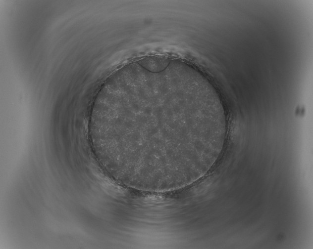 X0000110871489200907161426