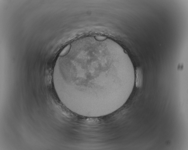 X0000110871491200907161426