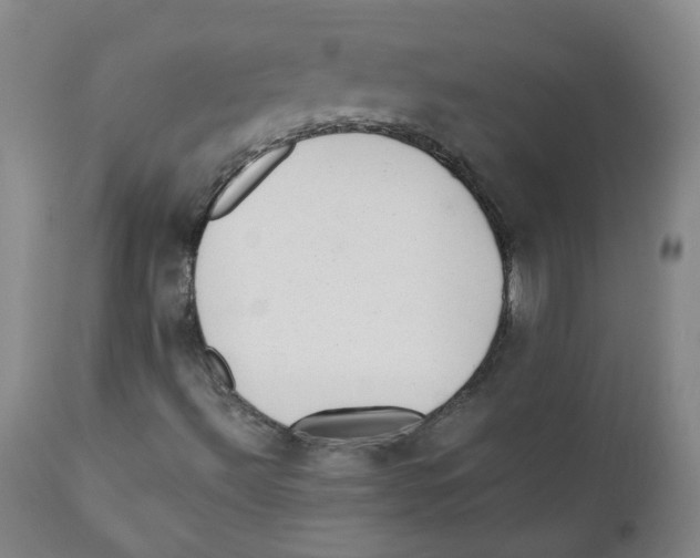 X0000110871492200907161426