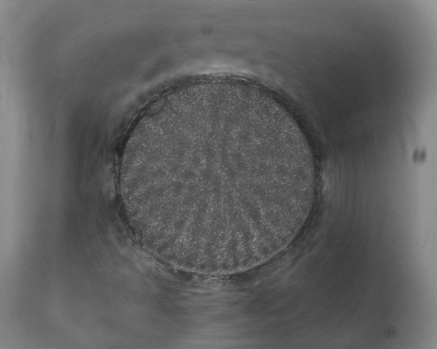 X0000110871493200907161426