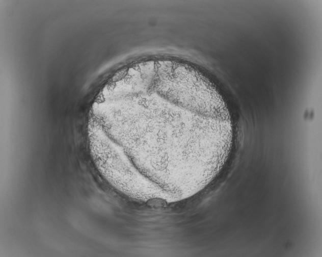 X0000110871494200907161426