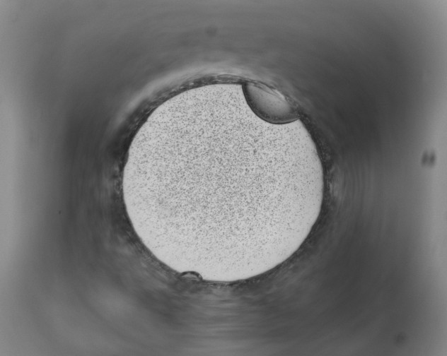 X0000110871495200907161426