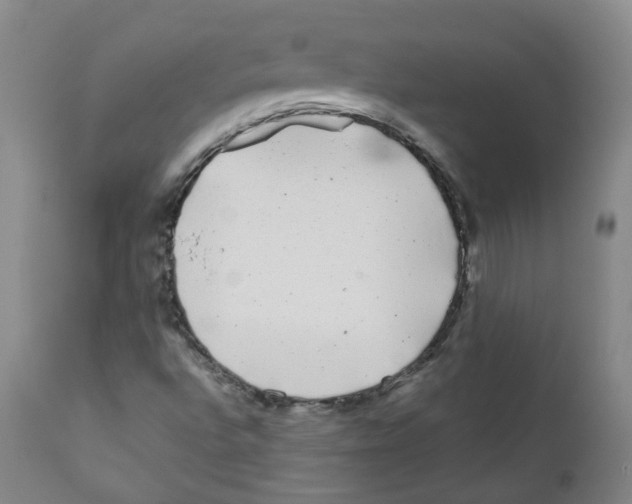 X0000110871496200907161426