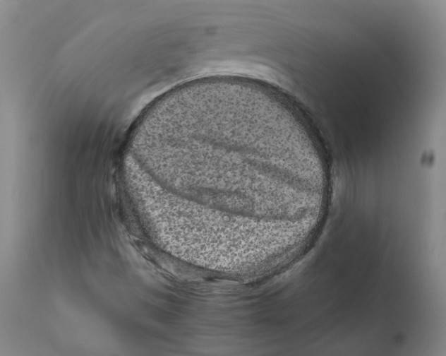 X0000110871497200907161426