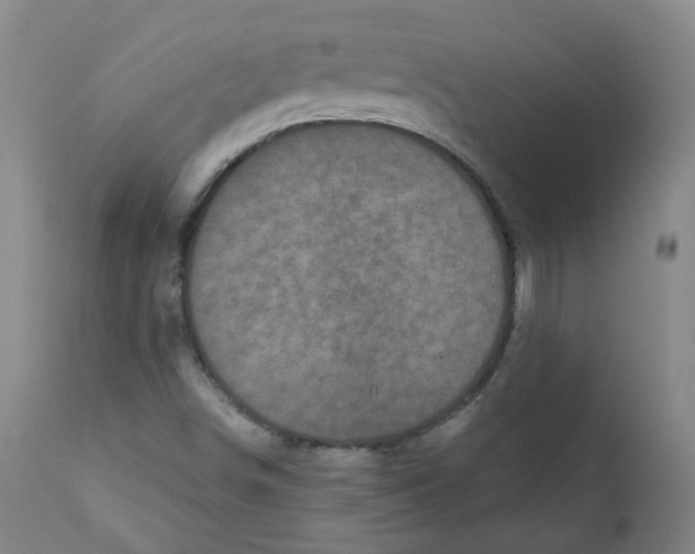 X0000110871498200907161426