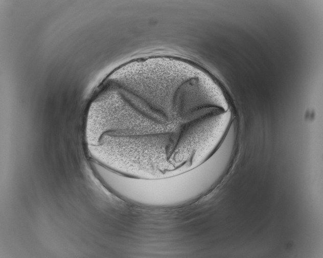 X0000110871500200907161426