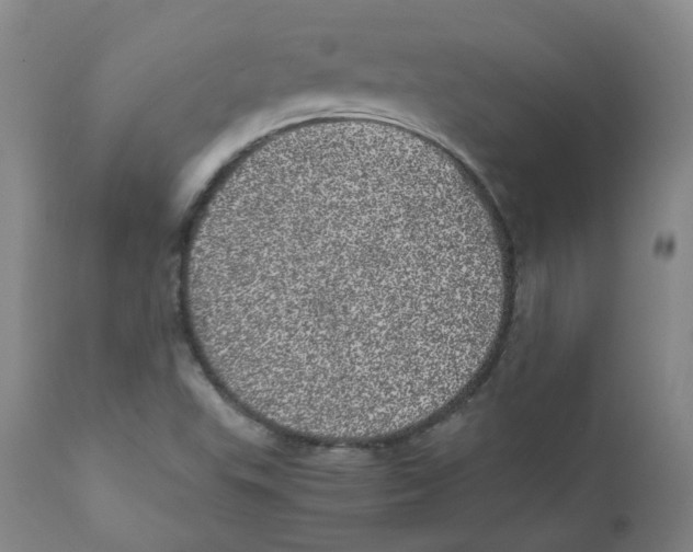 X0000110871503200907161426