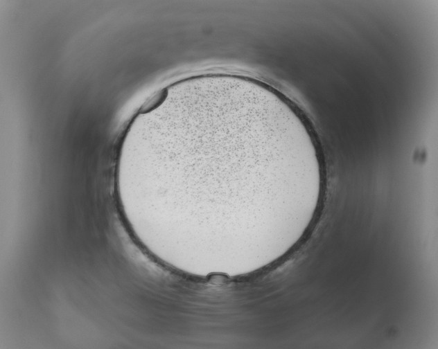 X0000110871504200907161426