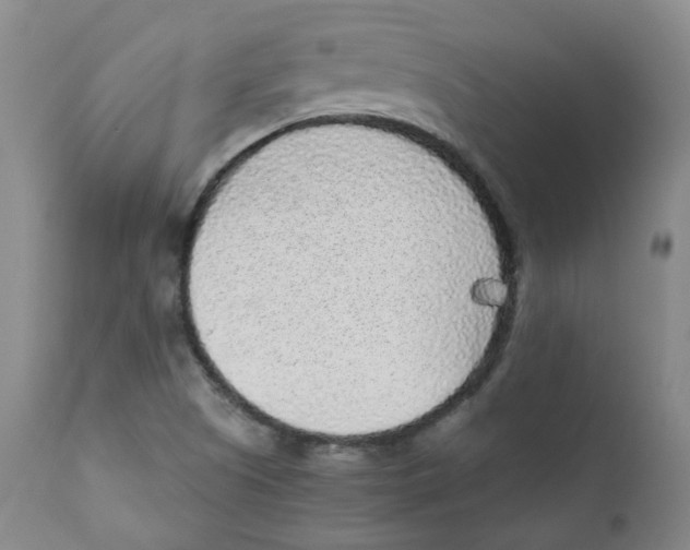 X0000110871505200907161426