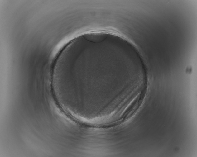 X0000110871506200907161426