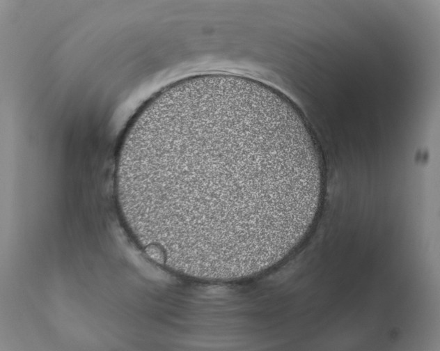 X0000110871507200907161426