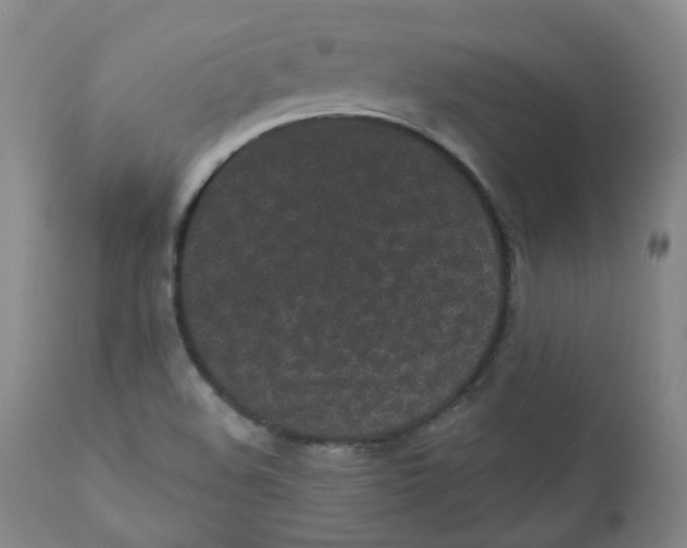 X0000110871508200907161426