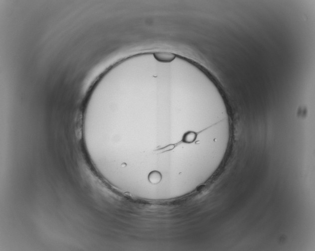 X0000110871510200907161426