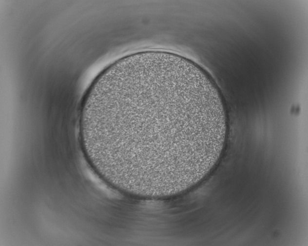 X0000110871511200907161426