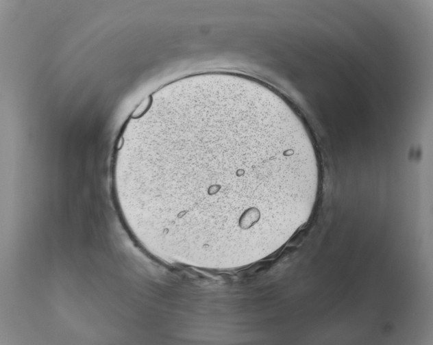 X0000110871512200907161426