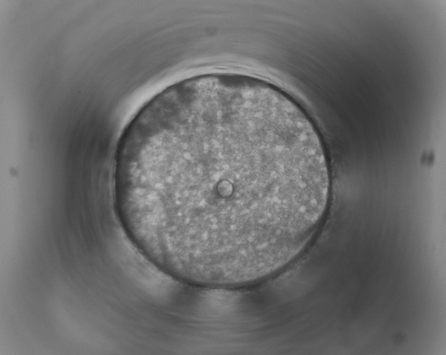 X0000110871514200907161426