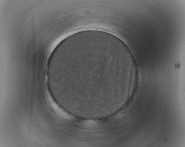 X0000110871515200907161426