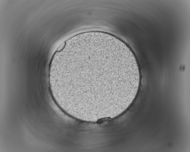 X0000110871516200907161426