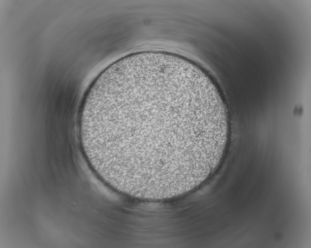 X0000110871517200907161426