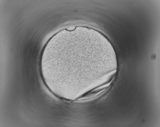 X0000110871518200907161426