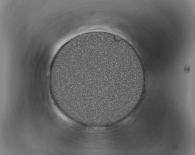 X0000110871519200907161426