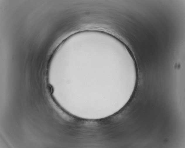 X0000110871525200907161427