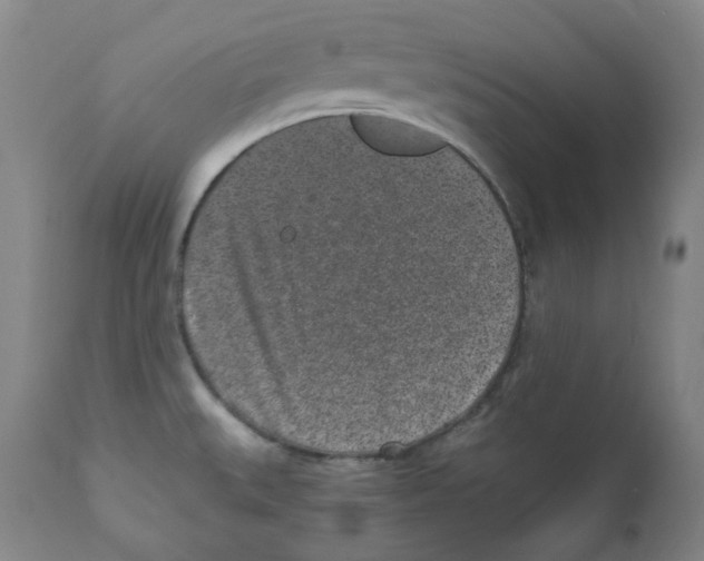 X0000110871527200907161427