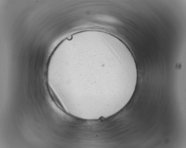 X0000110871531200907161427