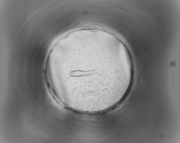 X0000110871536200907161427