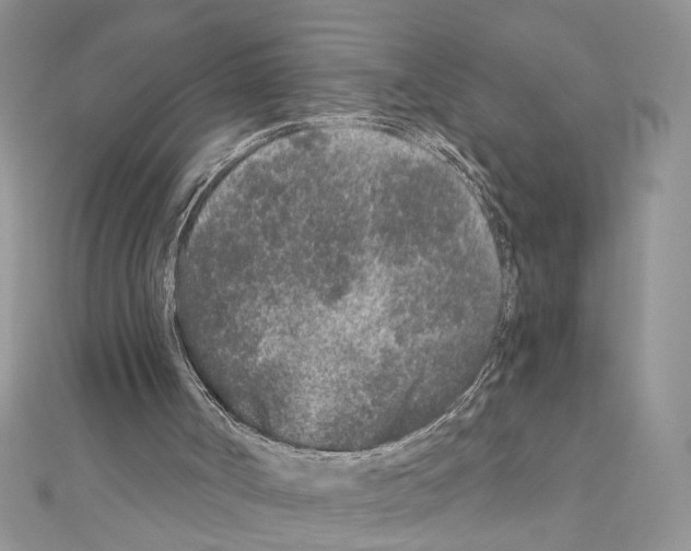 X0000110870002200907301423