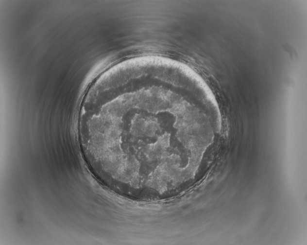 X0000110870004200907301423