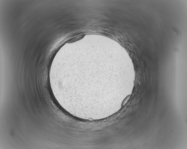 X0000110870005200907301423