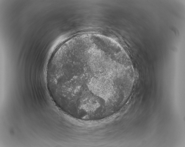 X0000110870006200907301423