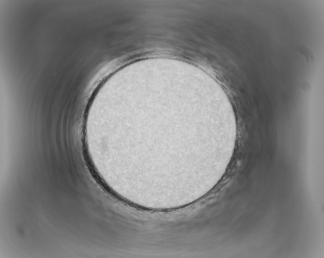 X0000110870007200907301422