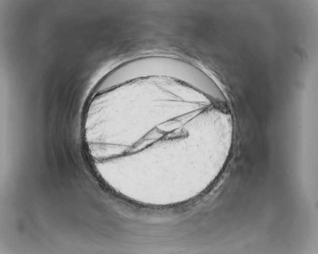 X0000110870008200907301422