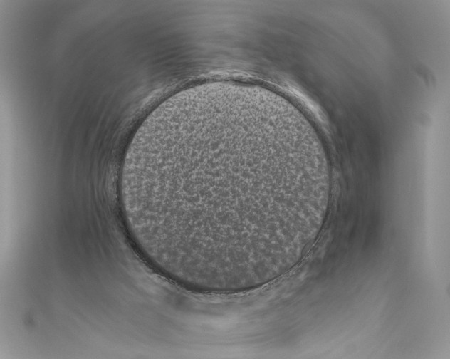 X0000110870009200907301422