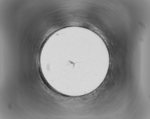 X0000110870011200907301422