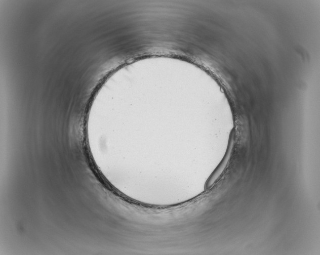 X0000110870015200907301422