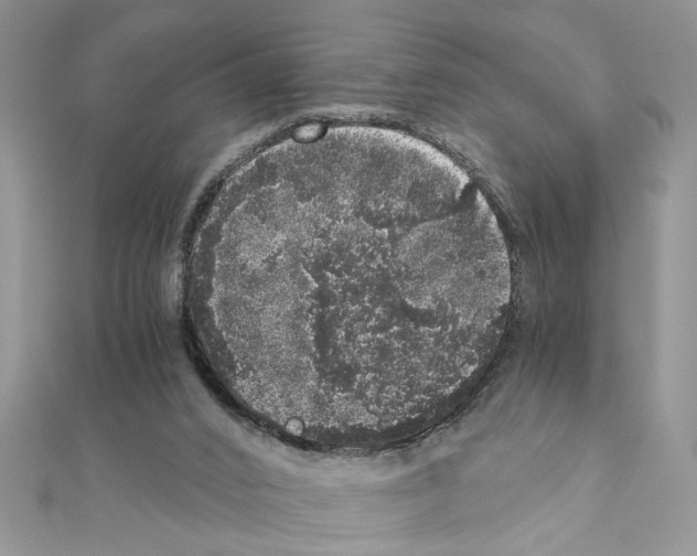 X0000110870016200907301422