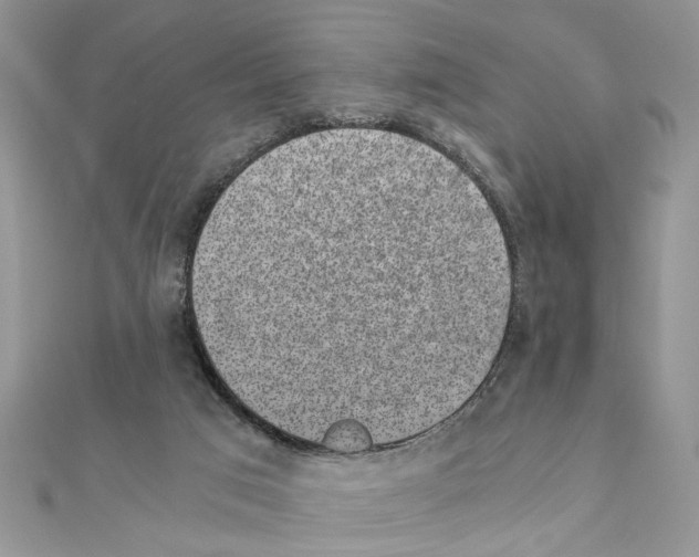 X0000110870017200907301422