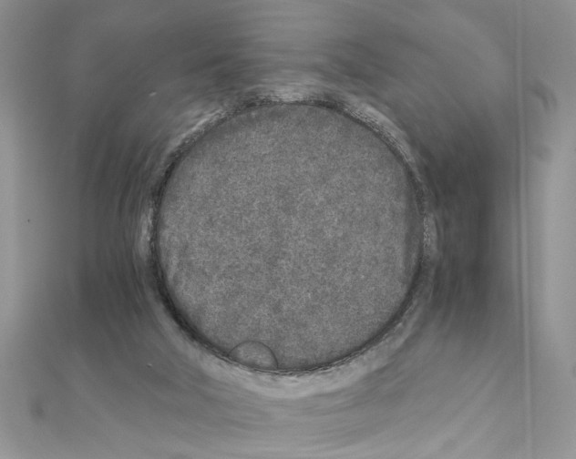 X0000110870018200907301422