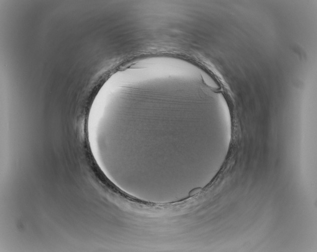 X0000110870019200907301422