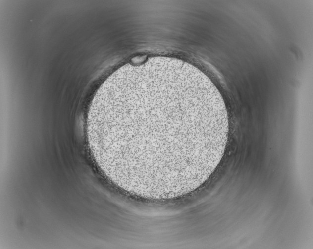 X0000110870020200907301422