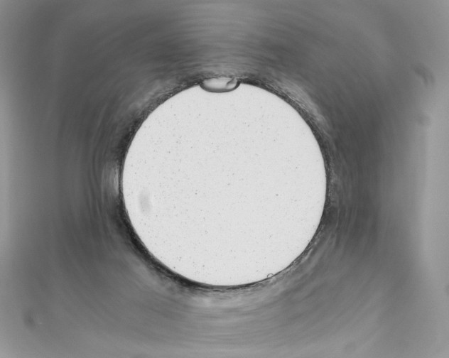 X0000110870021200907301422