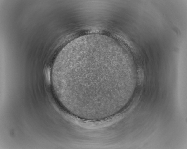 X0000110870022200907301422