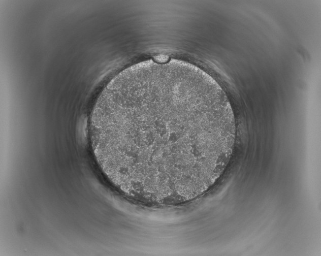 X0000110870024200907301422